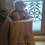 Шале Goralsko Gawra *